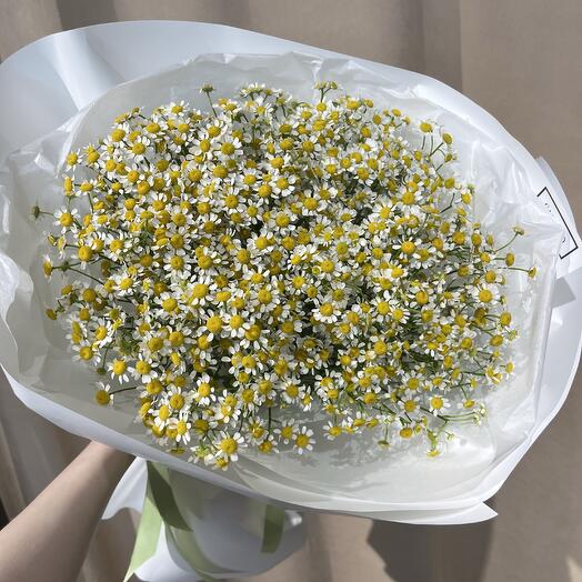 МоноБукет из 21 ветки ромашки