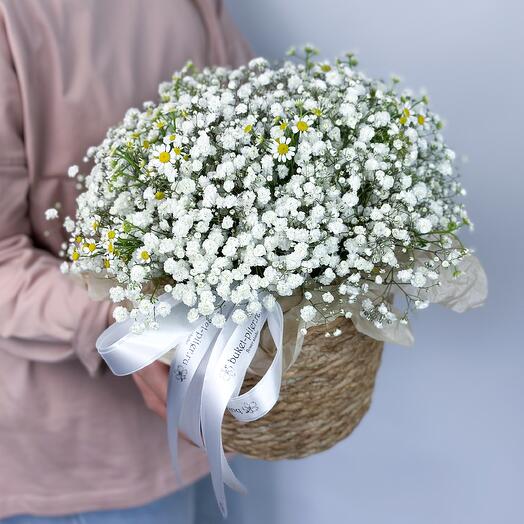 Воздушная композиция в корзине из белой гипсофилы и голландских ромашек