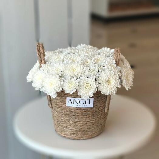 Хризантемы в кашпо (размер S)