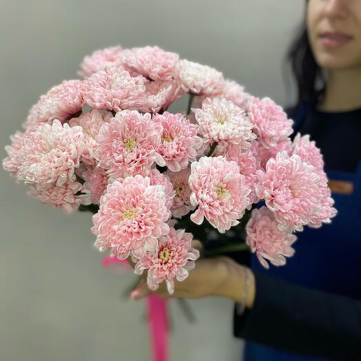 Персиковые хризантемки 🥰