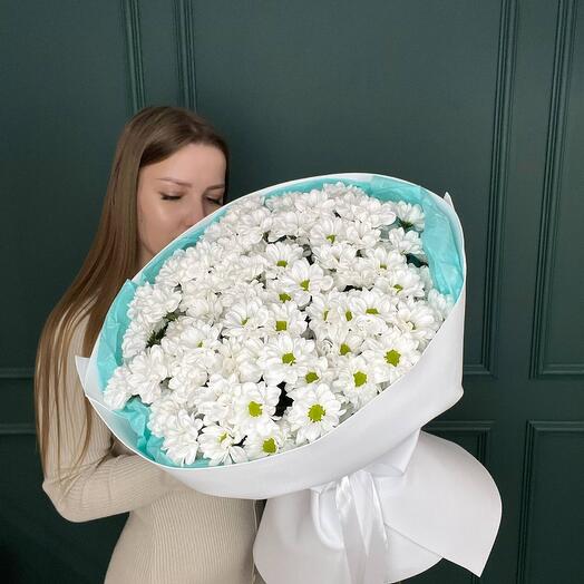 Кругляш из кустовой хризантемы 064