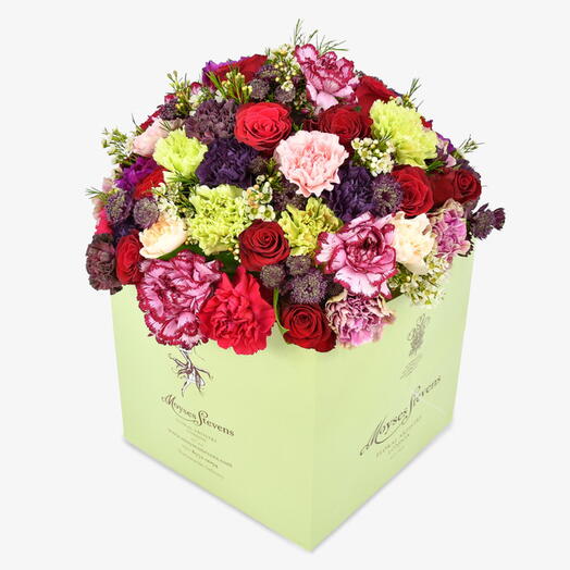 Cherry Temptation (تشري  تيمبتاشين)