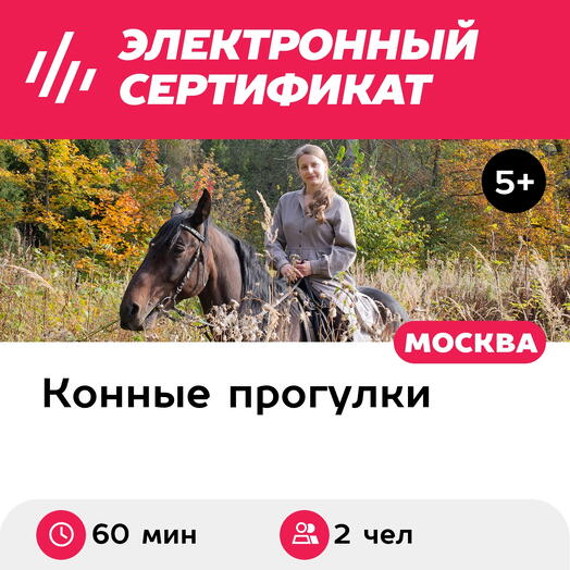Подарочный сертификат Индивидуальная конная прогулка в лес с фотосопровождением, 2 чел. (60 мин.)