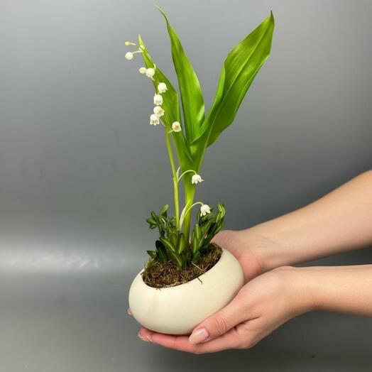 Ландыш в вазочке🌿