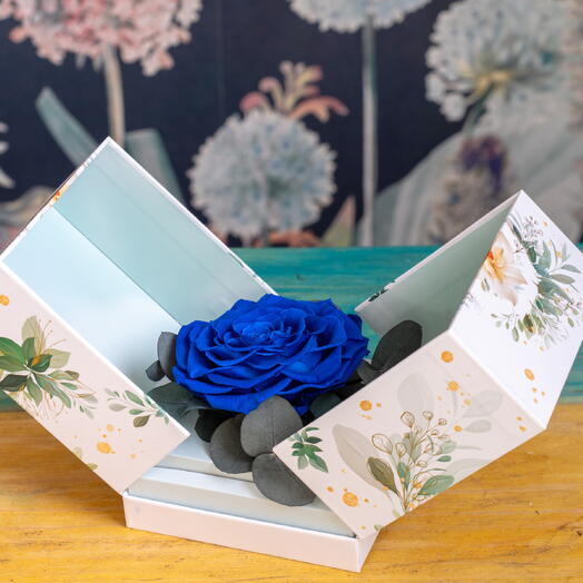 Rosa eterna jardin en caja deluxe azul 💙