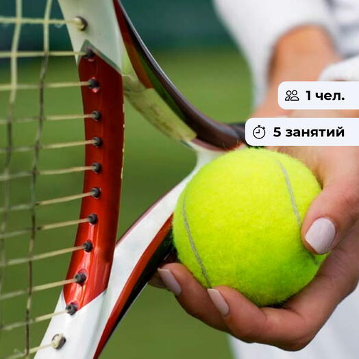 Большой матч. Курс игры в теннис