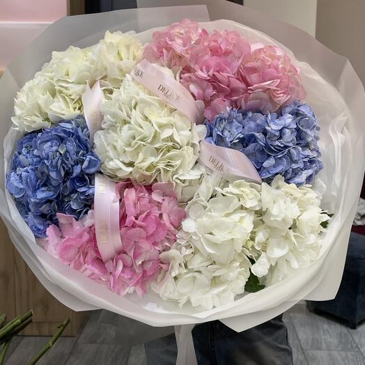 Гортензии 8