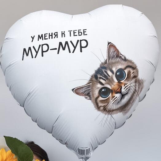 ШАР  У МЕНЯ К ТЕБЕ МУР-МУР