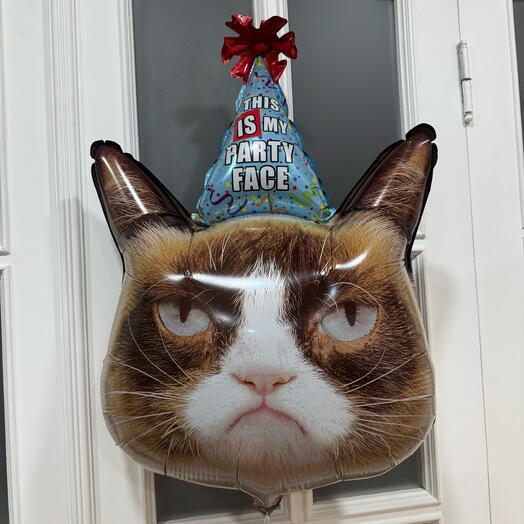 Воздушный шар недовольный кот гелий. Helium balloon angry cat