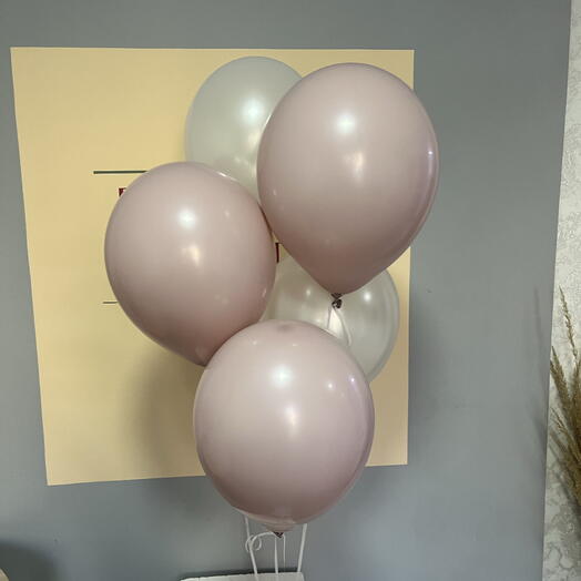Набор из 5 Шаров Пыльная Роза