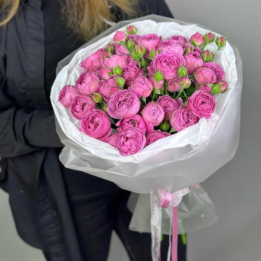 Пион роза Мисти Баблс