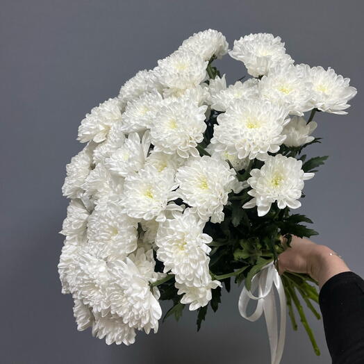 Букет 15 белых хризантем