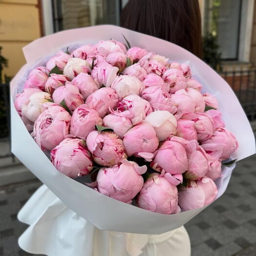 Букет из 51 розового пиона