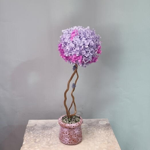 Топиарий из стабилизированной гортензии в кашпо ручной работы