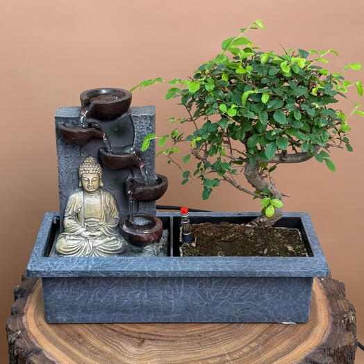 Бонсай с водопадом