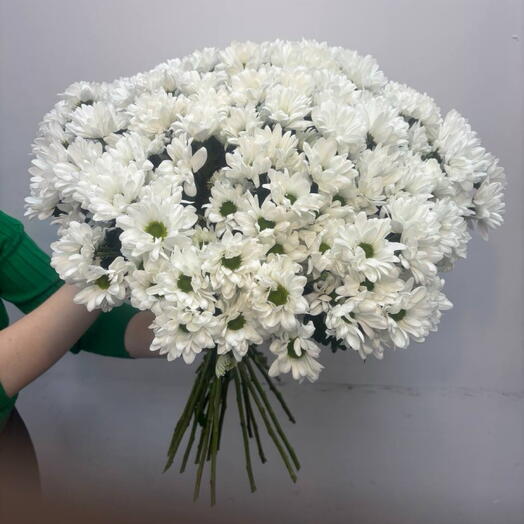 Облако хризантемы