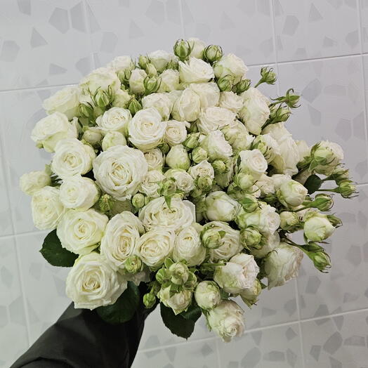 Мисс бомбастик кустовые розы