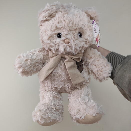 Taddy bear 30 cm