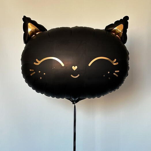 Шар Возудшный «Black Cat»