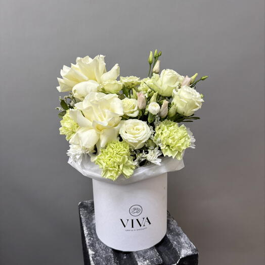 Viva box · Гармония свежести M