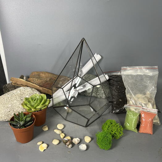 Набор для самостоятельной сборки флорариума в Капле 2