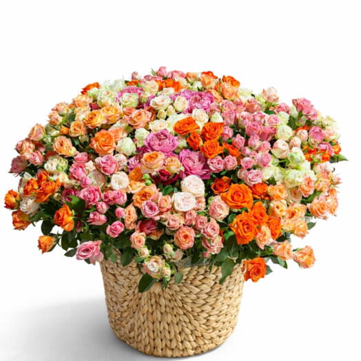 101 Spray roses in a basket