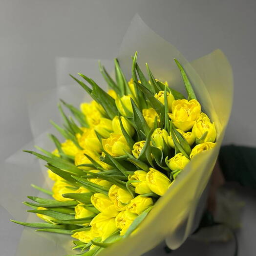 Тюльпан пионовидный желтые 💛 51 шт