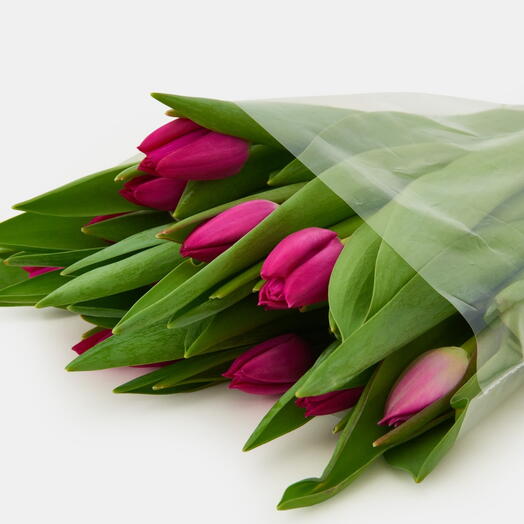 Пачка тюльпанов (15 штук) Розовый, 38 см
