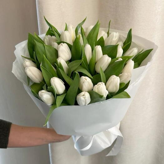 Bouquet of white tulips, 25 pcs