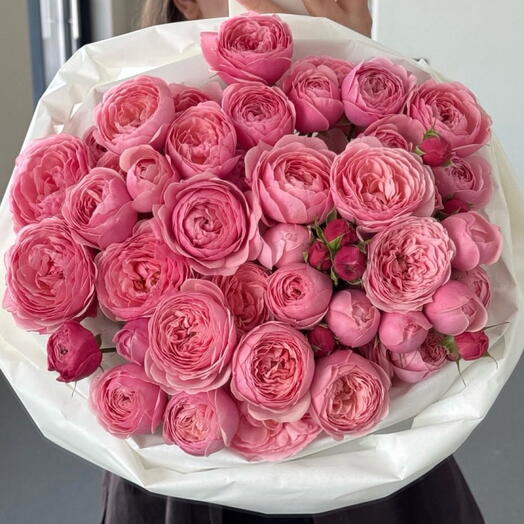 Пионовидные розы Silva Pink 💗