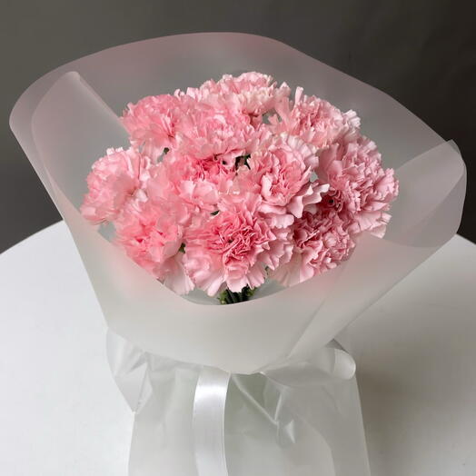 Dianthus pink 11