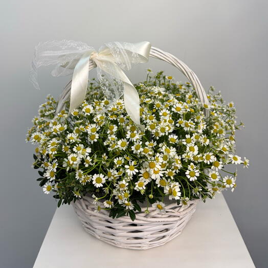 Корзина с ромашками