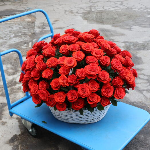 Корзина 151 алая Роза