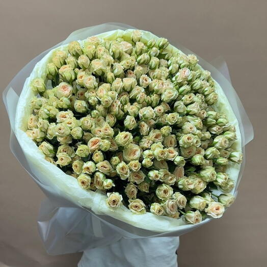 Кустовая Роза 51