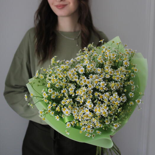 Ромашки
