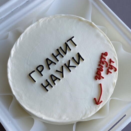 Бенто-торт mini гранит науки
