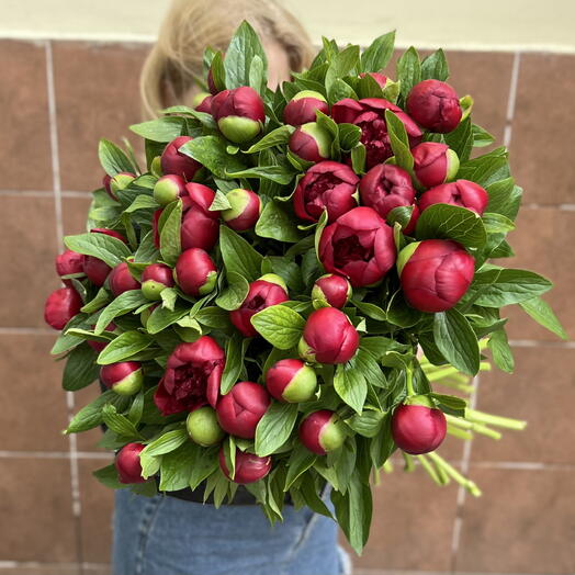 Пион Ред Шарм 39 😍