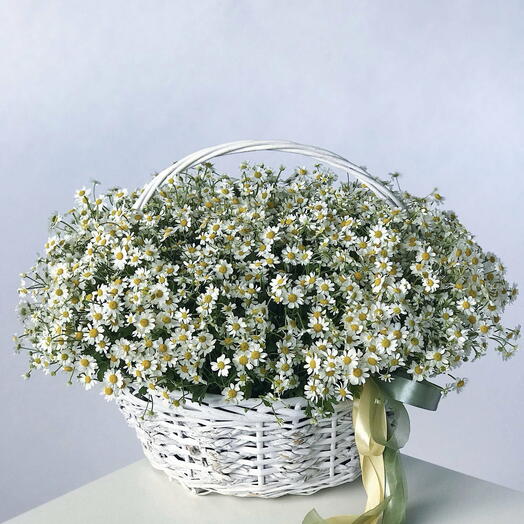 Корзина ромашек