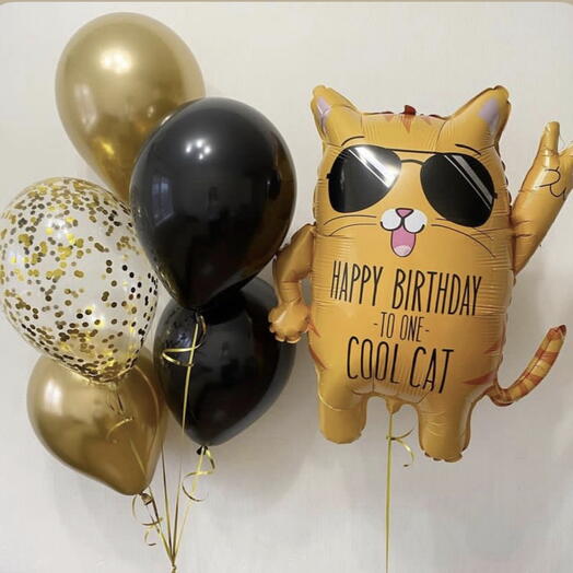 Воздушные шары с котом, шар Cool Cat