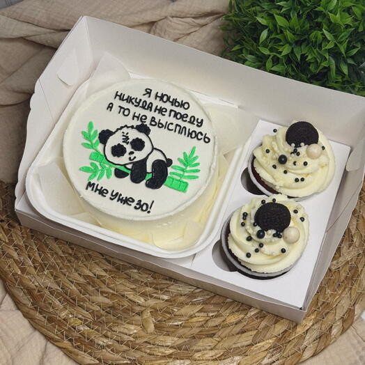 Панда 🐼