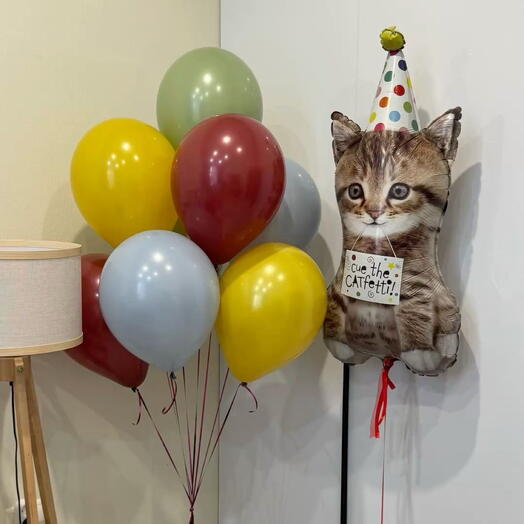 Шарики с кошкой