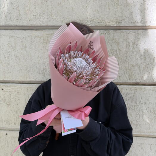 Протея от XOFLOWERS