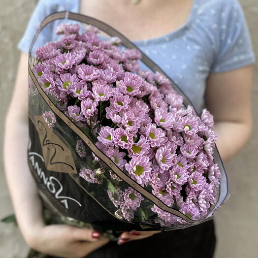 Сантини (хризантема) 25 шт. розовые