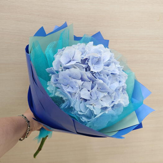 Букет Гортензия 💕