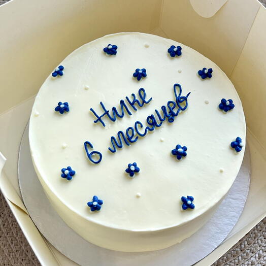 Бенто торт на 6 месяцев для дочки/девочки/малышки