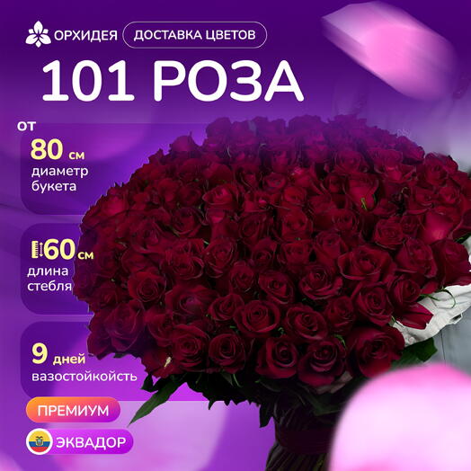 101 роза "Фридом"