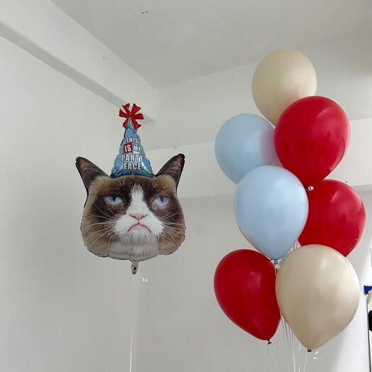 Шарики с котом на день рождения