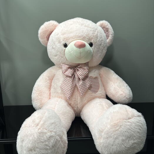 Bear 135