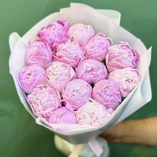 Пионы розовые Сара Бернар 15шт
