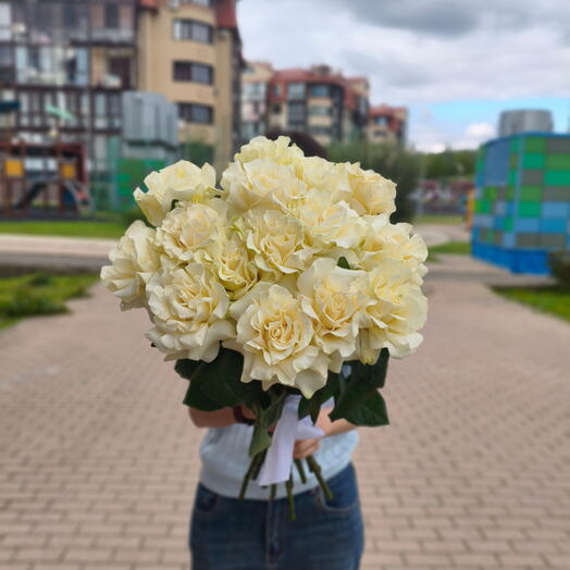Французские розы белые 15 штук